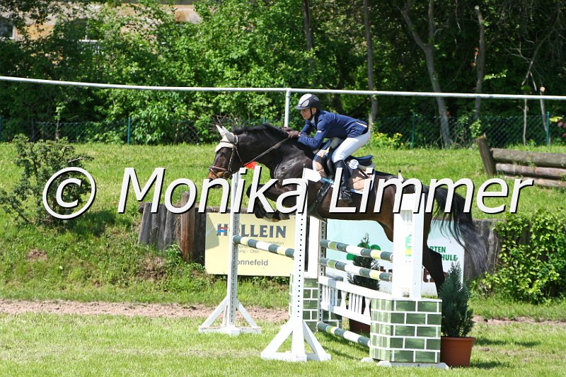 005M5394_Aristokrat_L Springen.JPG